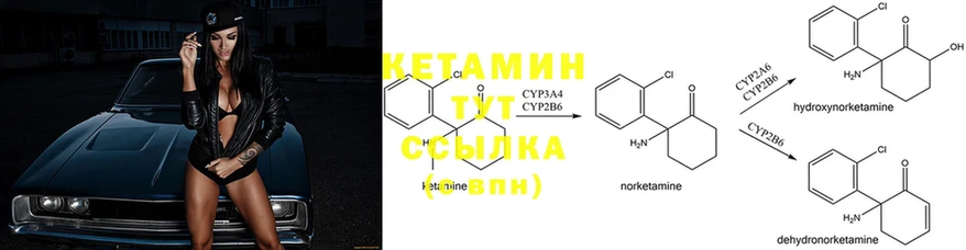 дарнет шоп  Камешково  Кетамин ketamine 